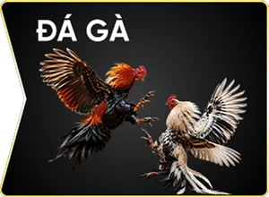 Đá Gà 23WIN